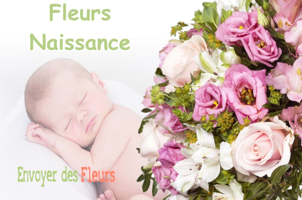 lIVRAISON FLEURS NAISSANCE à FROMEZEY